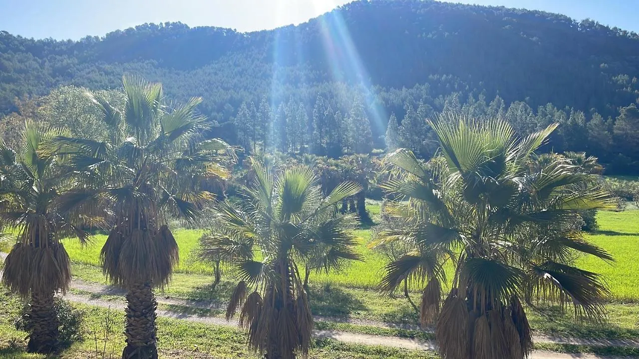Finca Hotel Son Pont Puigpunyent  Espagne